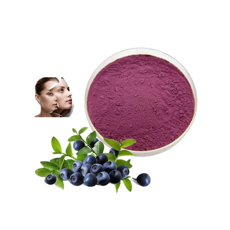 Bilberry Extract Anthocyanin Powder