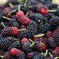 Mulberry Fruit Extract 25% Anthocyanins