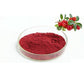 Bearberry (Cranberry) Extract 25% Anthocyanidins