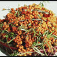 Sea Buckthorn Fruit Freeze-Dried Powder