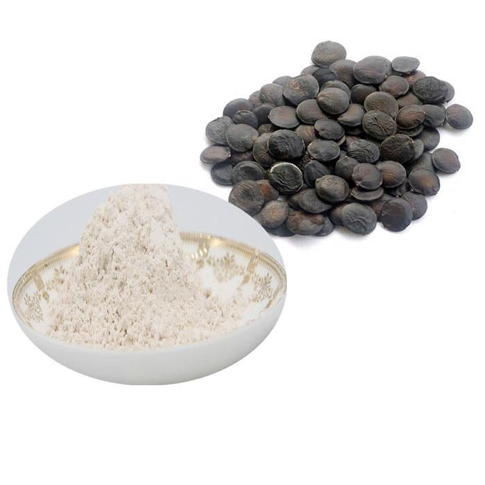 Griffonia Seed Extract 5 HTP Powder Suppliers – Honghao Herb