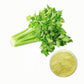 Natural 98% Apigenin Powder Celery leaf Extract