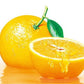 High Quality Citrus Aurantium Extract Powder