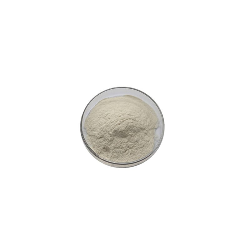 Health Product Raw Materials Collagen Powder
