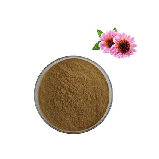 Echinacea Purpurea Extract 4% Polyphenols Powder