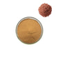 Flax Seed Extract Powder