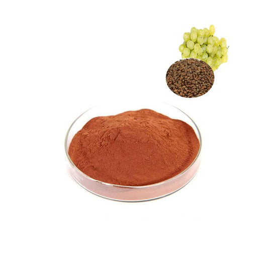 Grape Seed Extract 95% OPC Proanthocyanidins