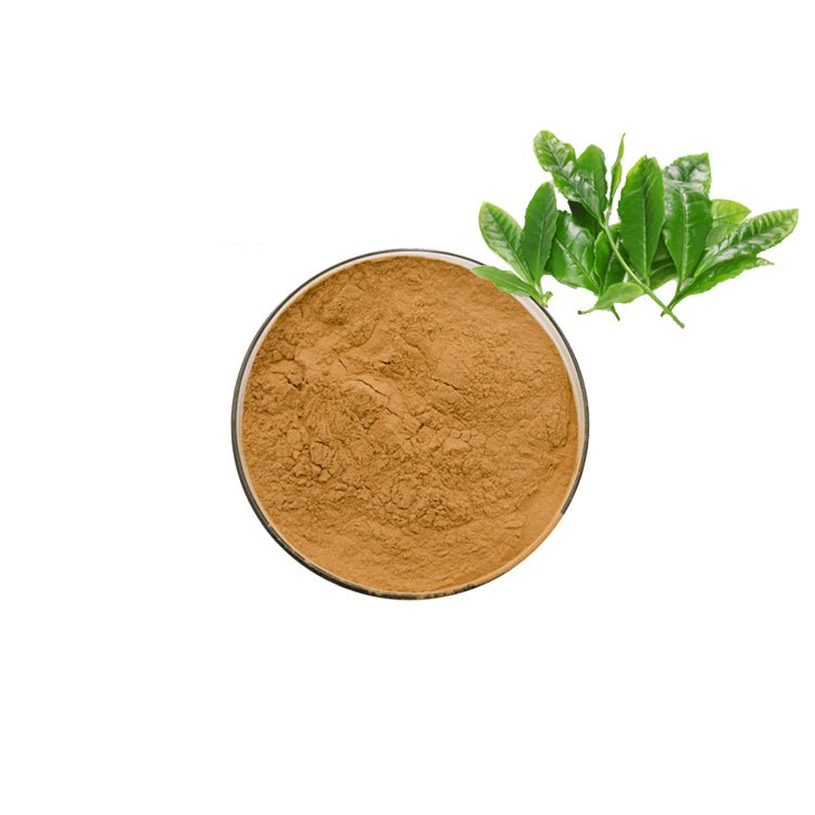Natural Green Tea Extract Powder