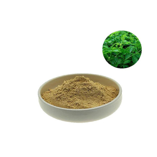 Natural Gynostemma Pentaphyllum Extract 98% Gypenoside Gynostemma Powder