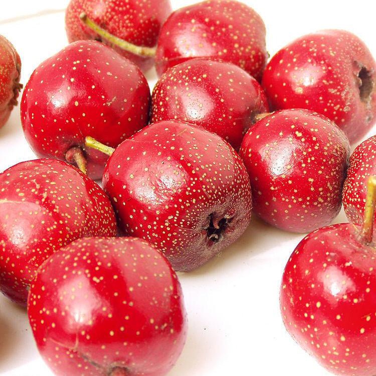 Hawthorn Berry Extract 10%/ 20% Flavones