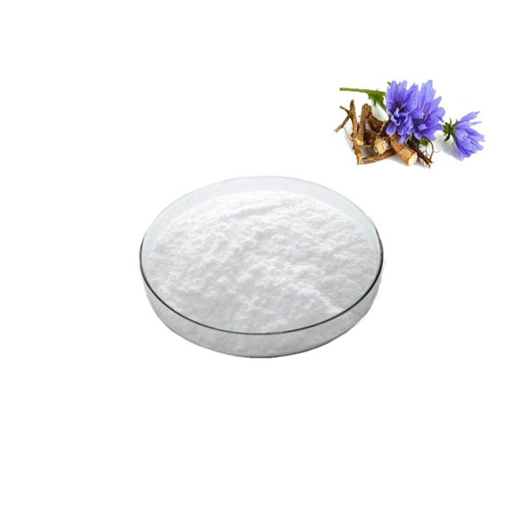 Chicory Root Extract 90% Inulin Powder
