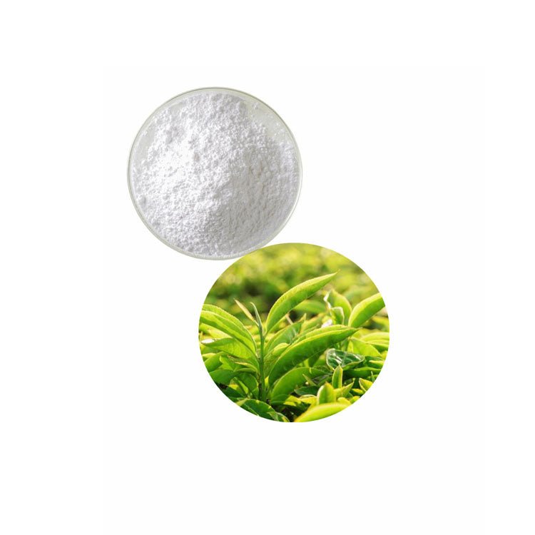 Natural 98% L Theanine Powder
