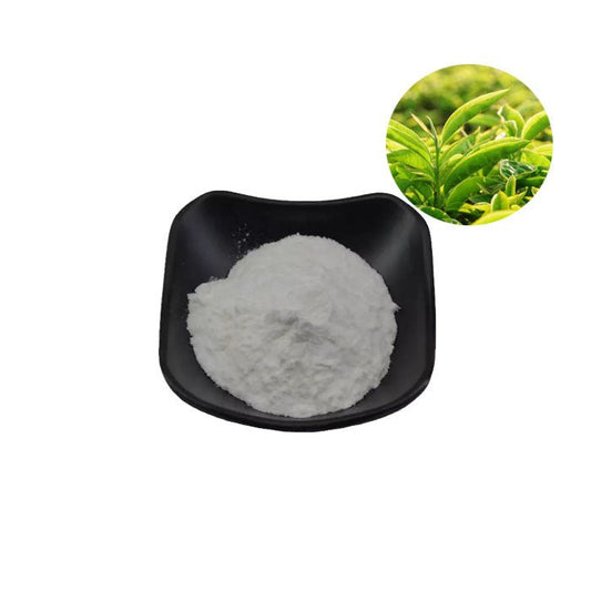 L Theanine Powder suppliers