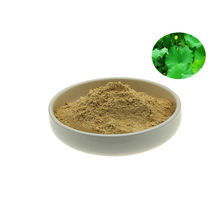 Lotus Leaf Extract Flavone 3%, 5:1, 10:1 Powder