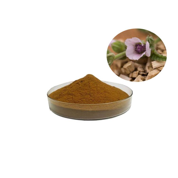 Marshmallow Root Extract Powder/Althaea Officinalis