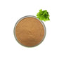 Melissa Officinalis Leaf Extract Powder