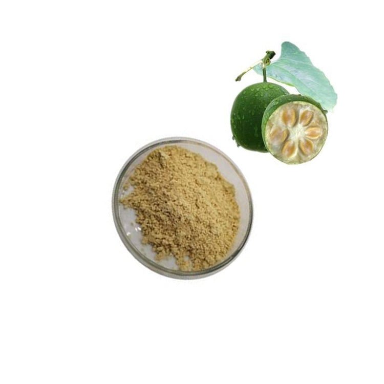 Factory Supply Monk Fruit Extract 25%/50% Mogroside v Powder
