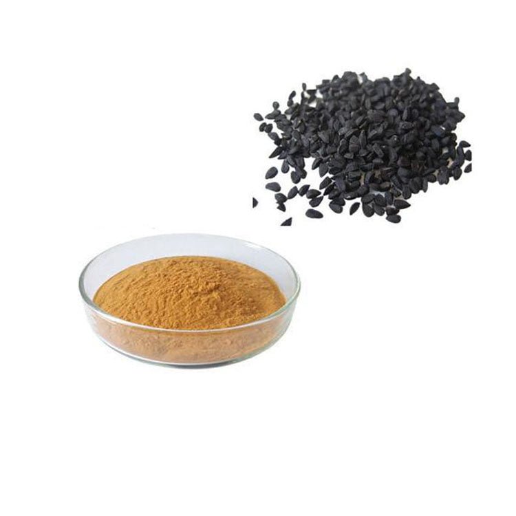 Natural Nigella Sativa Extract Powder