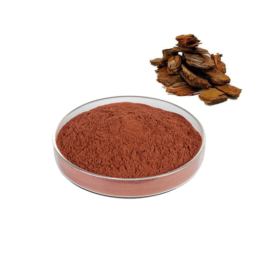 Pine Bark Extract 95% Proanthocyanidin Powder