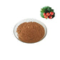 Rose Hips Extract 10%~25% Vitamin C,5:1, 10:1, 20:1