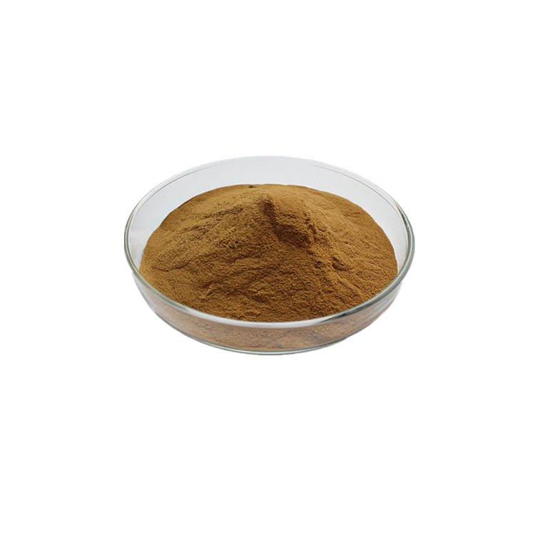 Sapindus Mukurossi Extract Soapnut Saponins 80%