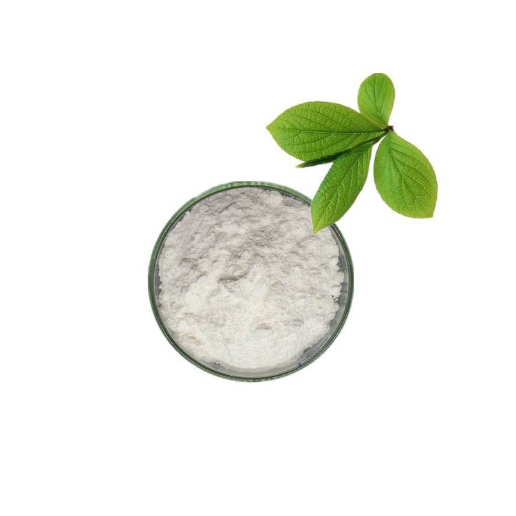 Natural 99% Ursolic Acid Extract Powder
