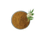 Valerian Root Extract Powder