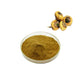 Maca Root Extract Powder