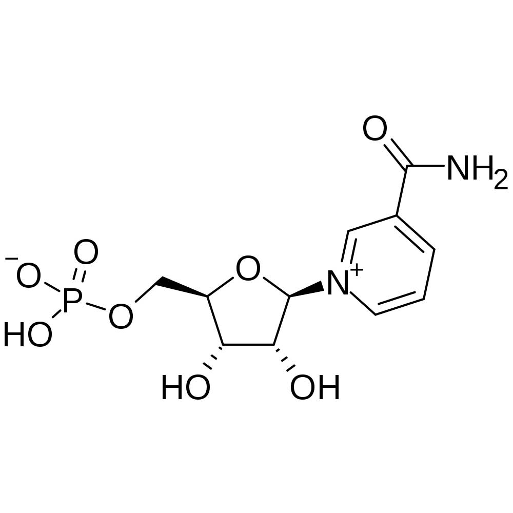 Nicotinamide Mononucleotide 99% NMN Bulk Powder