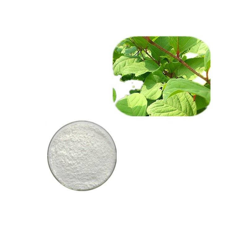 98% HPLC Bulk Resveratrol Powder