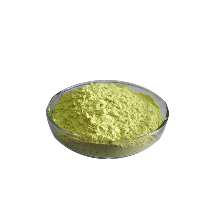 Bulk Rutinum / Rutin (vitamin P) Powder