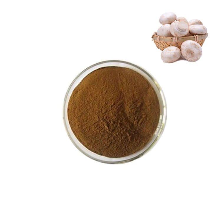 White Button Mushroom Extract Powder